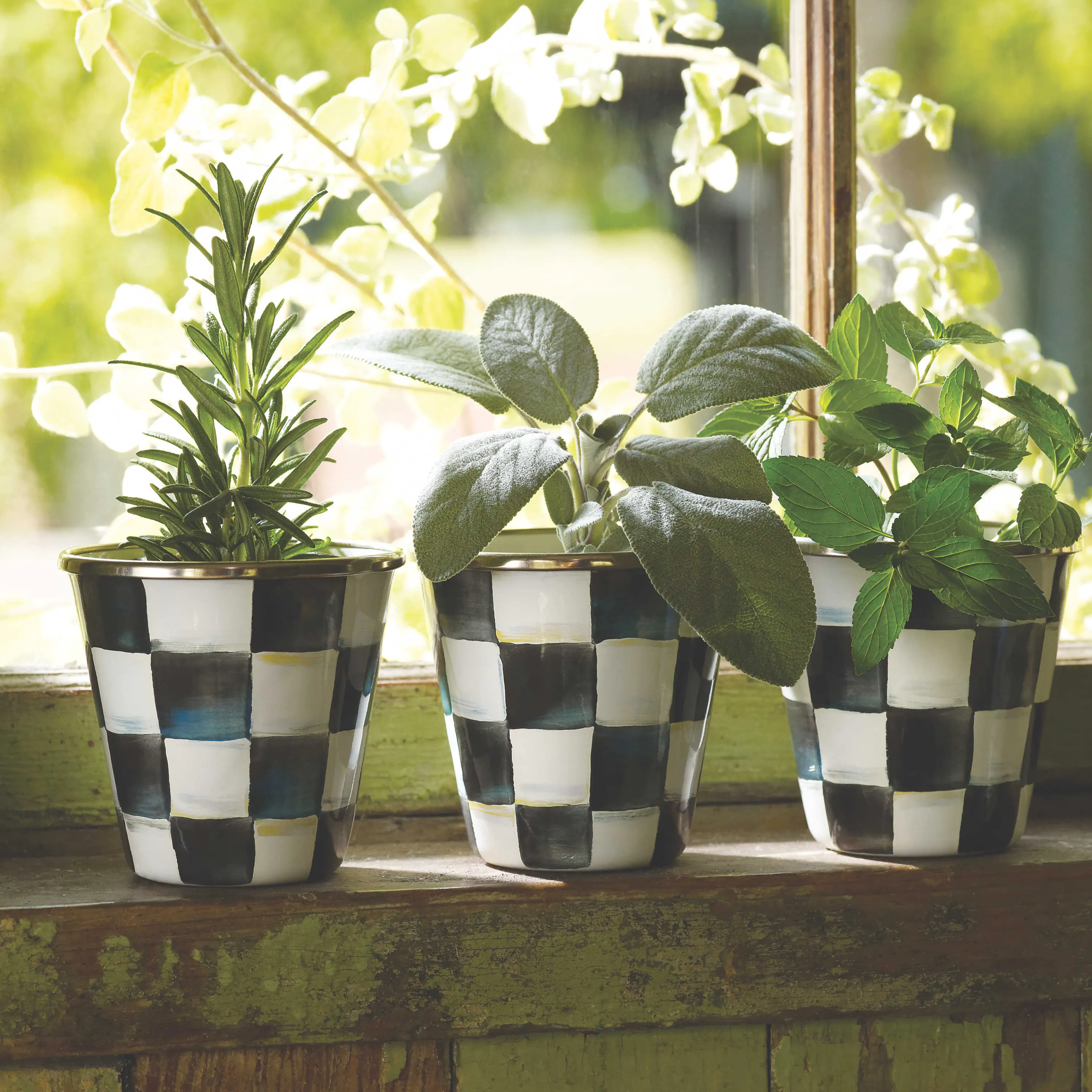 Courtly Check Enamel Herb Pots - Set Of 3
