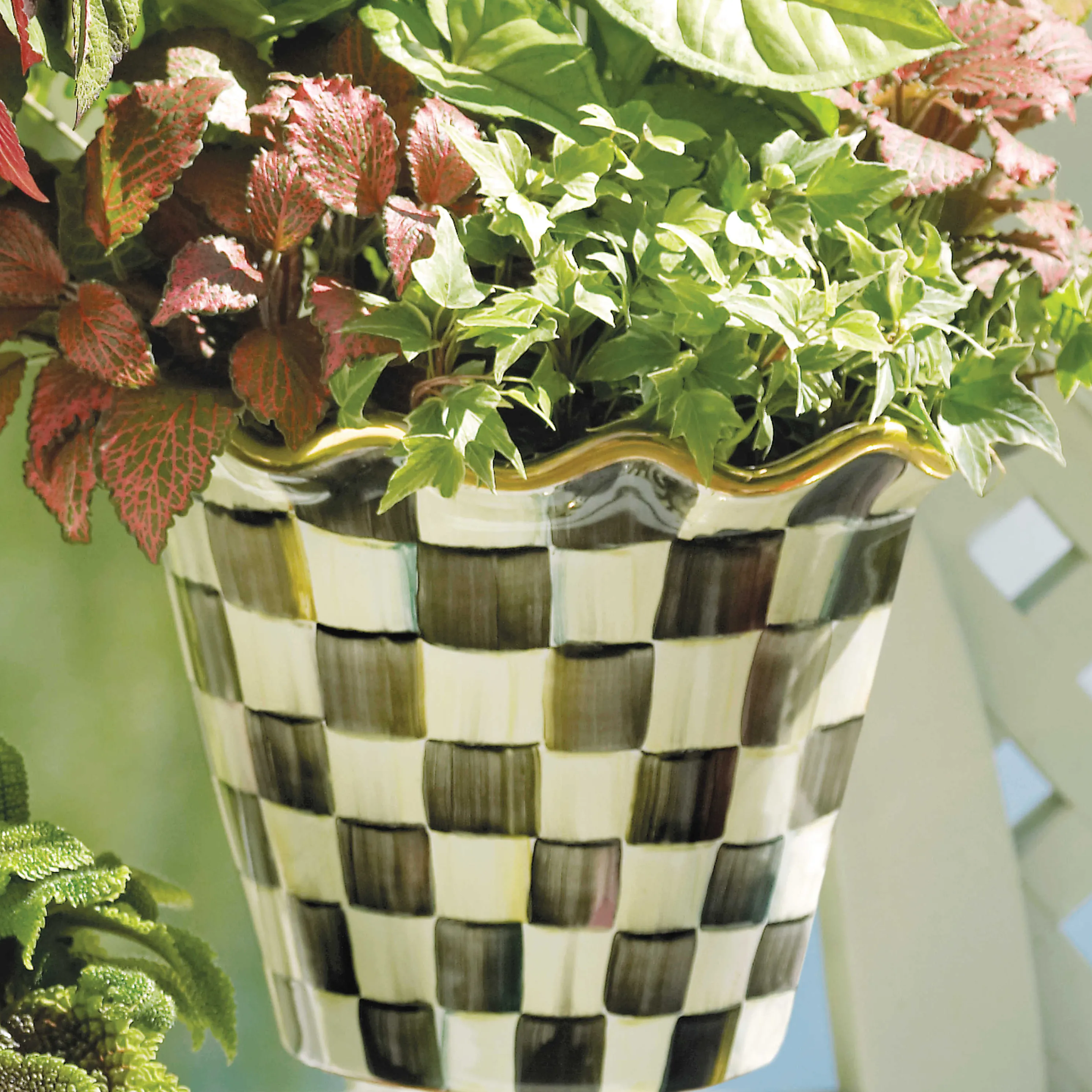 Courtly Check Garden Pot - 8"