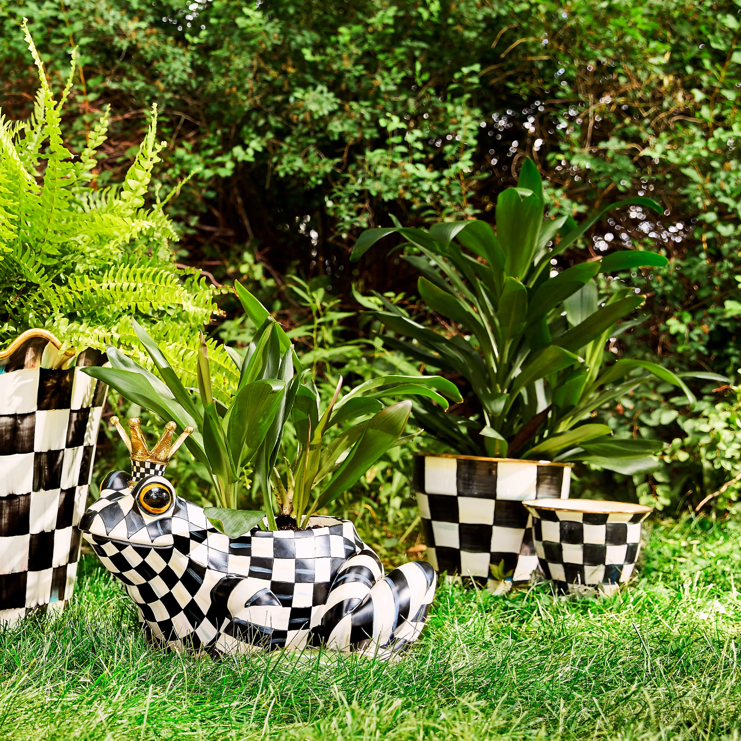 Fergal The Frog Planter