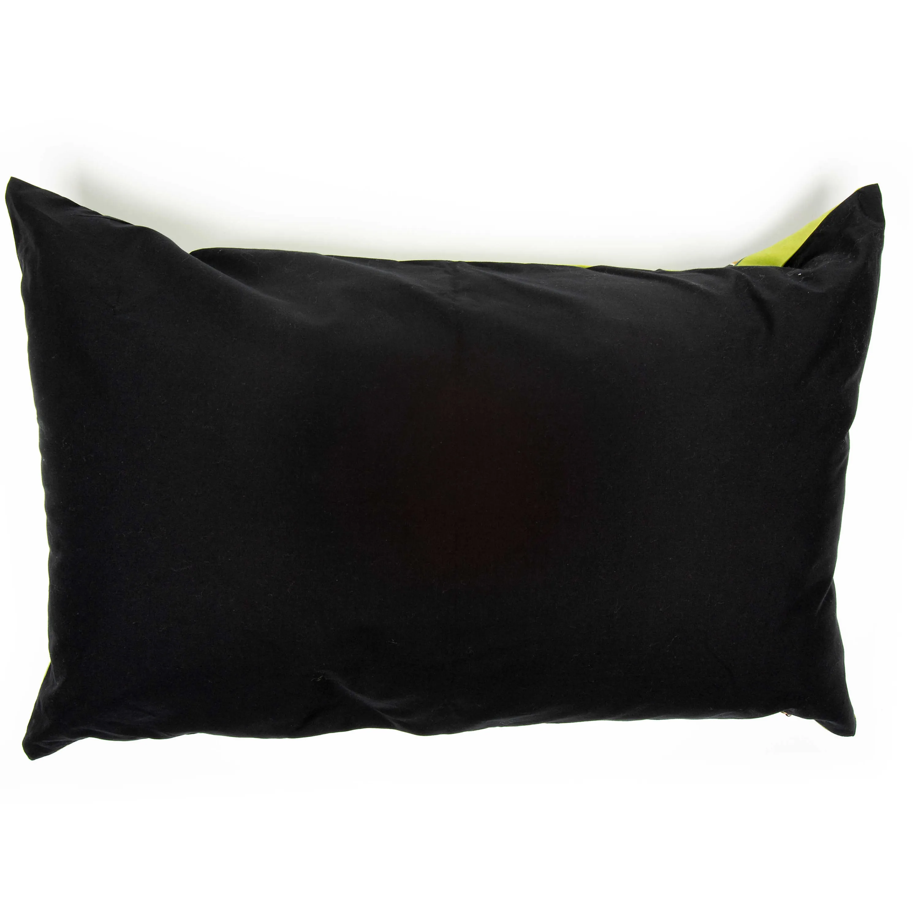 Frog And Bee Lumbar Pillow