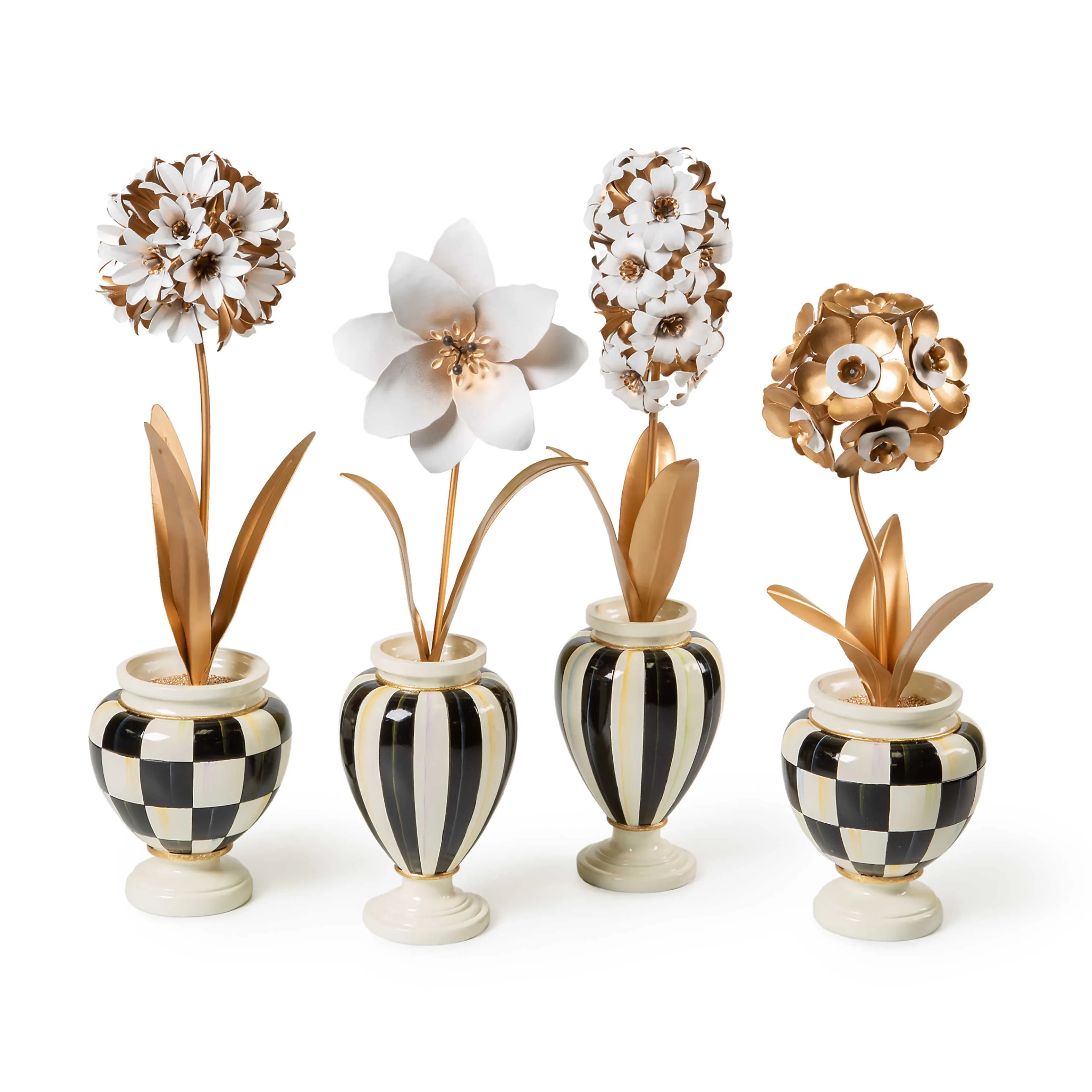 Marquee Potted Primrose Flower