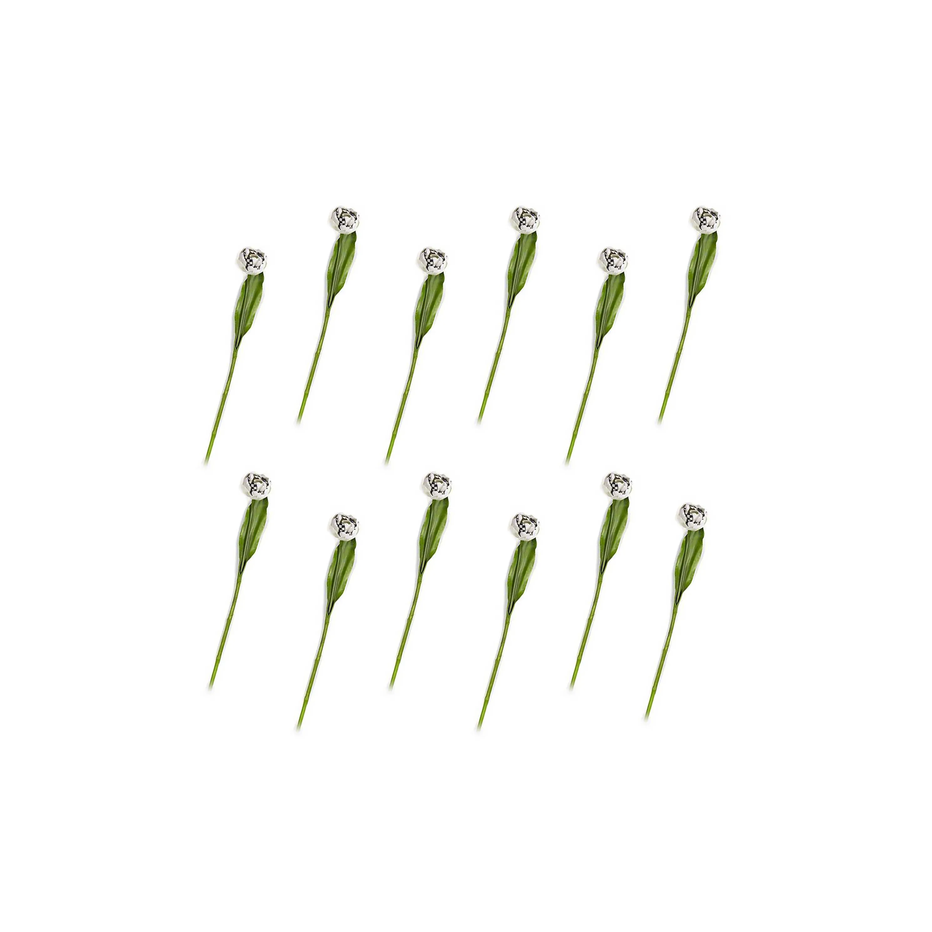 Parrot Tulip Bouquet - Ivory - Set Of 12