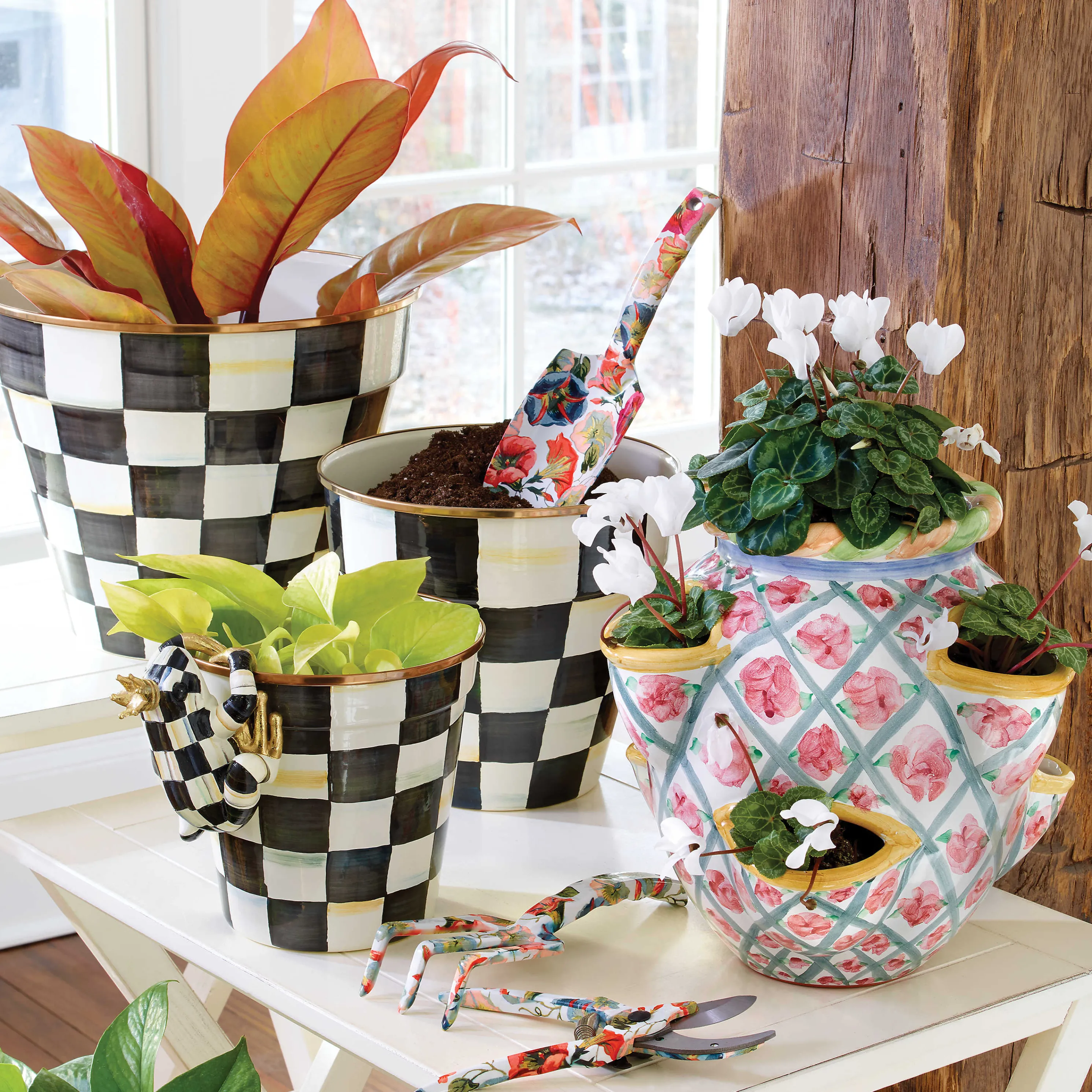 Pot Croaker Pot Climber