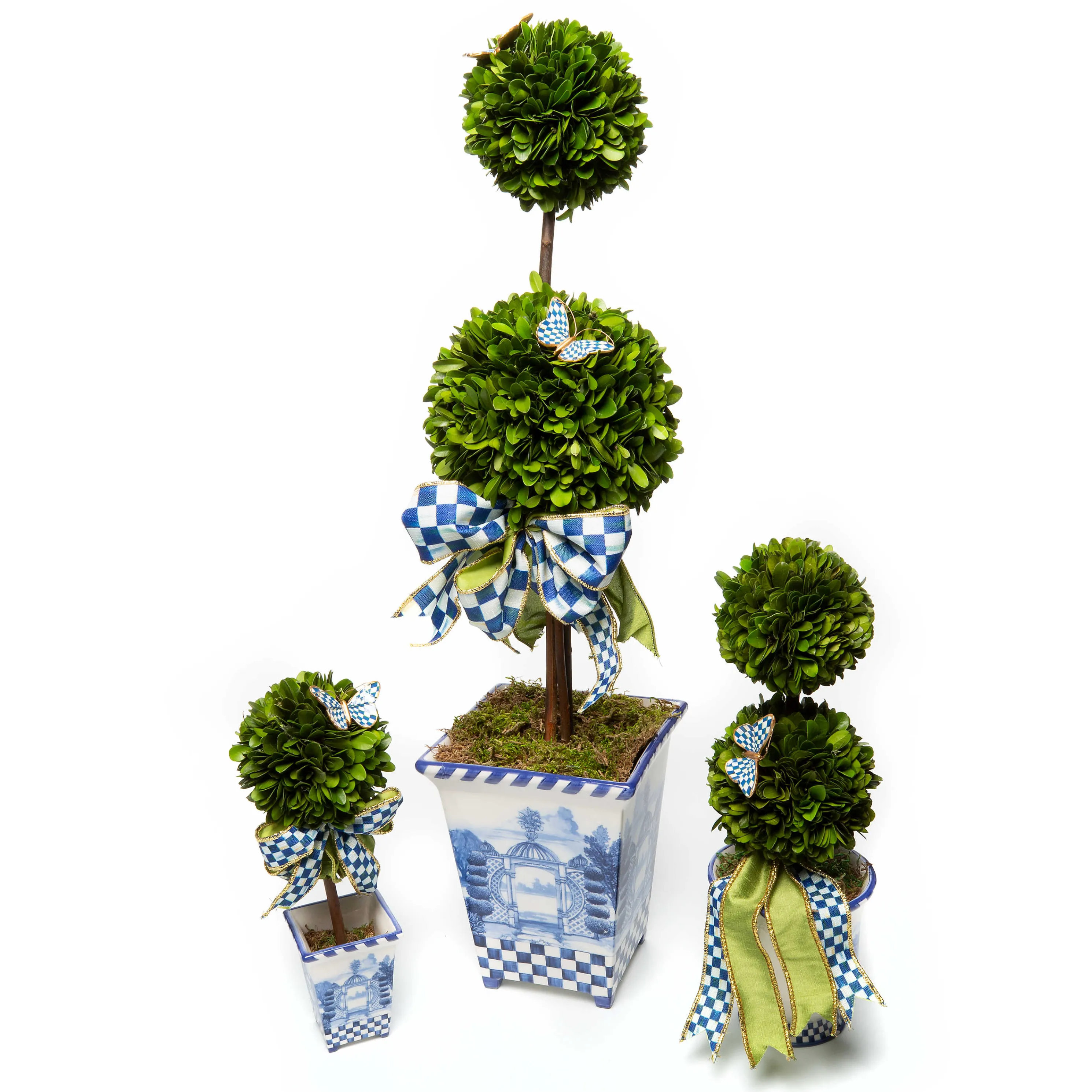 Royal Boxwood Topiary - Medium